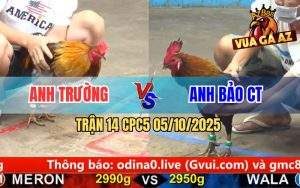 Trận 14 CPC5 5/10/2025