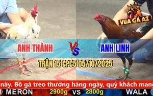Trận 15 CPC5 5/10/2025