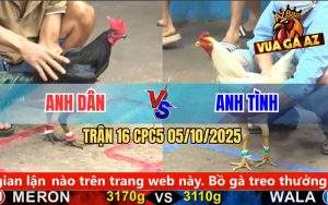 Trận 16 CPC5 5/10/2025