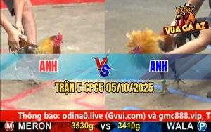 Trận 5 CPC5 5/10/2025