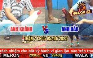 Trận 7 CPC5 5/10/2025
