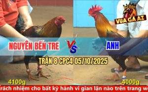 Trận 8 CPC4 5/10/2025