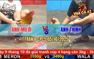 Trận 8 CPC5 5/10/2025