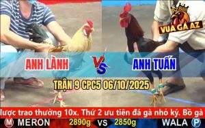 Trận 9 CPC5 6/10/2025