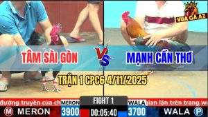 Trận 1 CPC6 4/11/2025 - Gà Điều Anh Mạnh Ra Làm 2 Chân Có Kết Quả