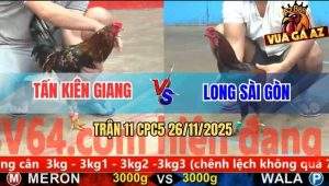 Trận 11 CPC5 26/11/2025 - Gà Bông Anh Tấn Hít Vô Đâm Gà Que Lìa Giò