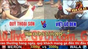 Trận 13 CPC5 27/11/2025 - Mái Lại Anh Việt Nhấp Nhã Đâm Úa Chết Đứng