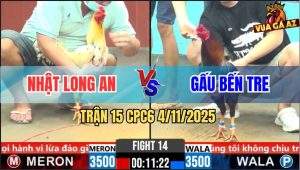 Trận 15 CPC6 4/11/2025 - Điều Cọ Anh Gấu Chặn Mấy Chân Có Kết Quả
