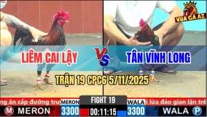 Trận 19 CPC6 5/11/2025 - Điều Dâu Đâm Phát Nào Điều Lá Ói Tới Đó