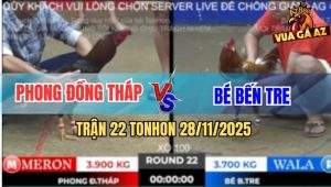 Trận 22 TonHon 28/11/2025 - Điều Anh Phong Đá Khét Cọp Anh Bé Tai Biến