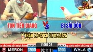 Trận 23 CPC6 5/11/2025 - Gà Điều Anh Ton Đâm Gà Úa Anh Bi Đứng Hết Nổi