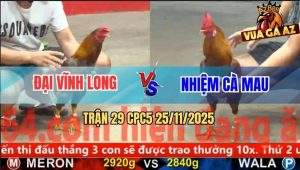 Trận 29 CPC5 25/11/2025 - Gà Khét Anh Nhiệm Đá Bo Như Xe Đụng