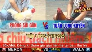Trận 3 CPC5 27/11/2025 - Que Cọp Anh Tuấn Đá Bướm Bò Lê Bò Lết