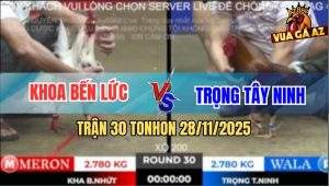 Trận 30 TonHon 28/11/2025 - Bướm Anh Khoa Câu Đầu Vô Đâm Như Cái Máy