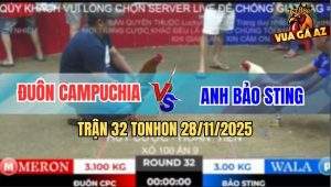 Trận 32 TonHon 28/11/2025 - Bướm Hiệu Bảo Sting Đá 3 Chân Tiền Về