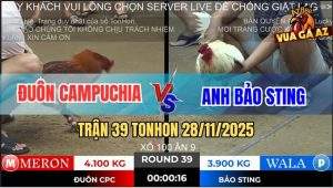Trận 39 TonHon 28/11/2025 - Bướm Hiệu Bảo Sting Đá Điều Chạy Mất Dép