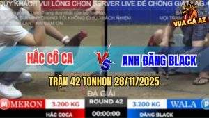 Trận 42 TonHon 28/11/2025 - Anh Hắc Cô Ca Gặp Anh Đăng Black