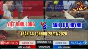 Trận 44 TonHon 28/11/2025 - Anh Việt Vĩnh Long Và Anh Lưu Huỳnh
