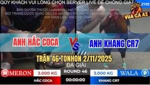 Trận 46 TonHon 2/11/2025 - Anh Hắc CoCa Gặp Anh Khang CR7