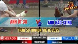 Trận 50 TonHon 28/11/2025 - Bảo Sting Cho Anh Út Dư 3 Chấm Vẫn Lụm Xổ