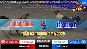 Trận 53 TonHon 2/11/2025 - Chuối Đen Anh Bảo Sting Hạ Cọp Campuchia