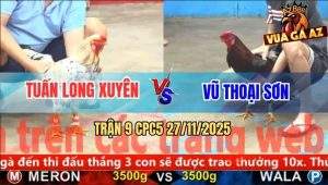 Trận 9 CPC5 27/11/2025 - Điều Cọp Anh Vũ Đâm Bướm Chạy Trối Chết