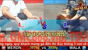 Trận 14 CPC5 29/11/2025