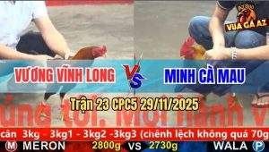 Trận 23 CPC5 29/11/2025