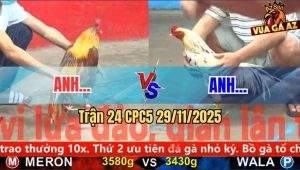 Trận 24 CPC5 29/11/2025
