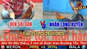 Trận 25 CPC5 29/11/2025