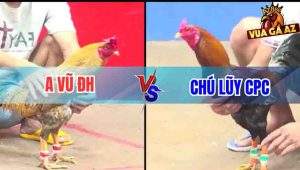 Tran 9 CPC3 30112025