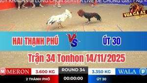 Trận 34 Tonhon 14/11/2025