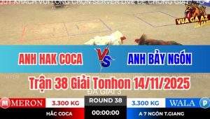 Trận 38 Giải Tonhon 14/11/2025