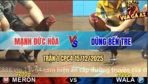 Trận 1 CPC4 15/12/2025 - Điều Xanh Nuốt Ói Vô Bảng Đâm Que Gục Đầu