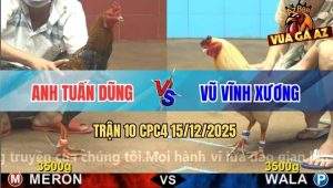 Trận 10 CPC4 15/12/2025 - Cú Anh Tuấn Dũng Đâm Bướm Không Bỏ Chân Nào