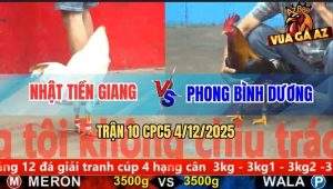 Trận 10 CPC5 4/12/2025 - Điều Anh Phong Phản Tang Ăn 1 Đưa Biện Đi Xa