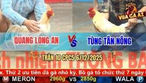 Trận 10 CPC5 6/12/2025 - Bướm Anh Quang Đá Quá Đâm Xanh Chạy Không Kịp