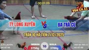 Trận 10 Hà Tiên 7/12/2025 - Điều Anh Tý Đá Điều Anh Ba Trà Cú Ói Cơm