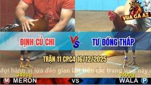 Trận 11 CPC4 16/12/2025 - Que Đuôi Lao Anh Định Củ Chi Có Chân Xạo Lờ