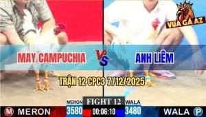 Trận 12 CPC3 7/12/2025 - Gà Úa Anh Liêm Canh Chặn Hay Bướm Vô Gãy Cổ