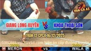 Trận 12 CPC4 16/12/2025 - Bông Đá Chạy Xe, Vô Ô Mang Xe Đi Cầm Trả Nợ