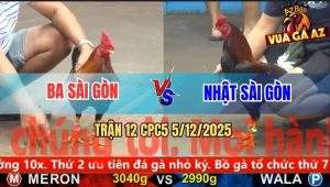 Trận 12 CPC5 5/12/2025 - Gà Điều Anh Ba Sài Gòn Đang Thắng Thành Bại