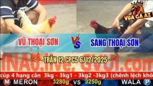 Trận 12 CPC5 6/12/2025 - Xanh Chân Xanh Anh Sang Đá Cựa Như Sơ Mít