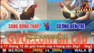 Trận 14 CPC5 12/12/2025 - Chuối Chân Xanh Đi Xiêu Vẹo Đá Điều Bất Tỉnh