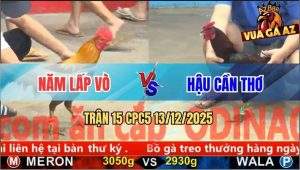 Trận 15 CPC5 13/12/2025 - Xám Anh Năm Kẹp Đúng Chân Điều Té Chết Tươi