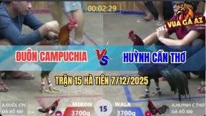 Trận 15 Hà Tiên 7/12/2025 - Điều Bông Anh Đuôn Đá Điêu Xanh Chết Đứng