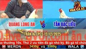 Trận 16 CPC5 12/12/2025 - Mẻ Úa Cọp Anh Quang Long An Đâm Cựa Quá Tịch