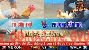 Trận 16 CPC5 13/12/2025 - Anh Tư Và Anh Phương Bất Phân Thắng Bại