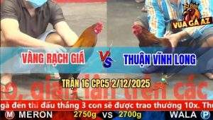 Trận 16 CPC5 2/12/2025 - Điều Xanh Chay Như Cái Máy Đỏ Lọt Tim Bay Bồ