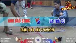 Trận 16 Hà Tiên 7/12/2025 - Anh Ba Trà Cú Tiếp Tục Hạ Cánh Bảo Sting